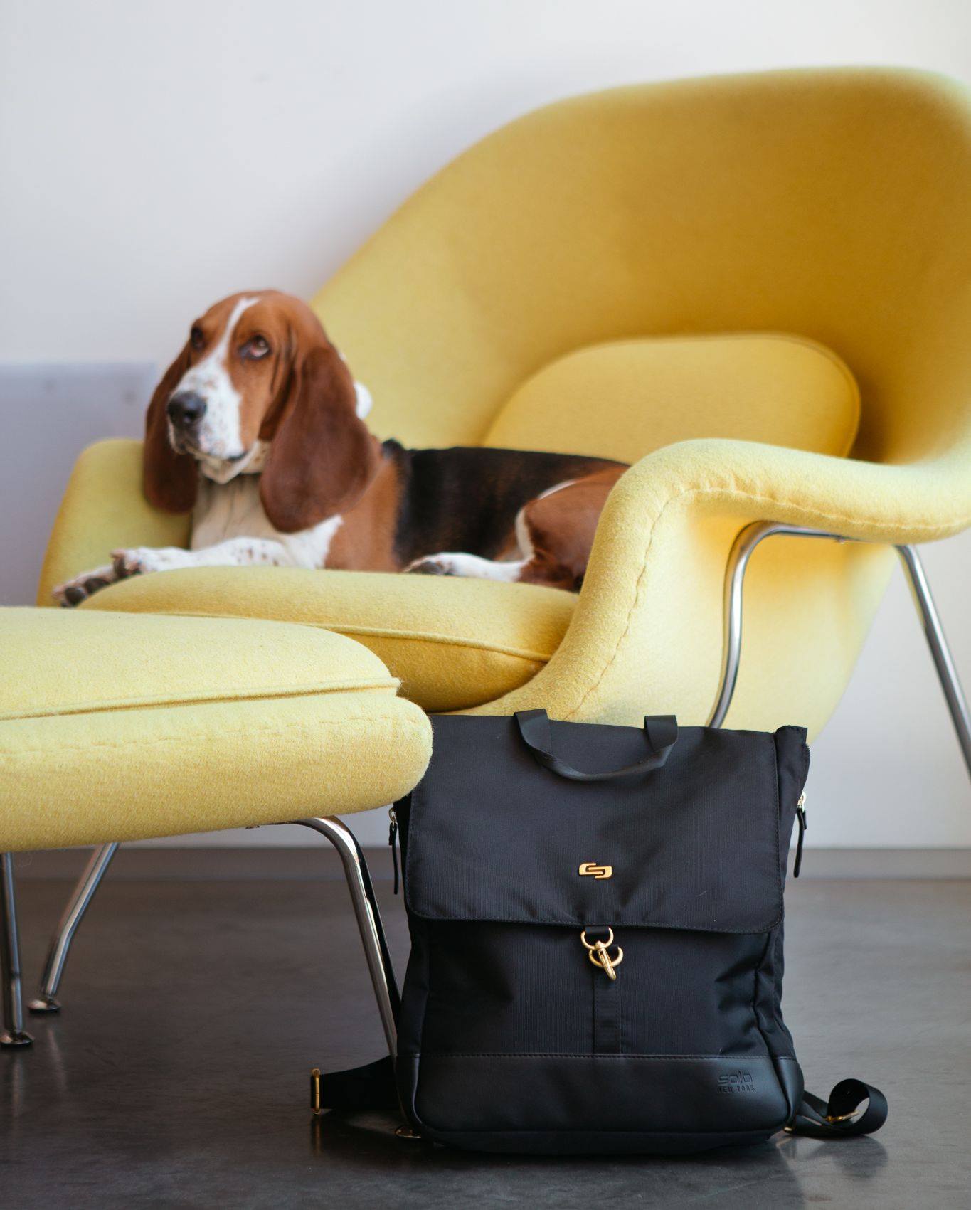 Balo vải nữ giá bao nhiêu thời trang hiện đại?