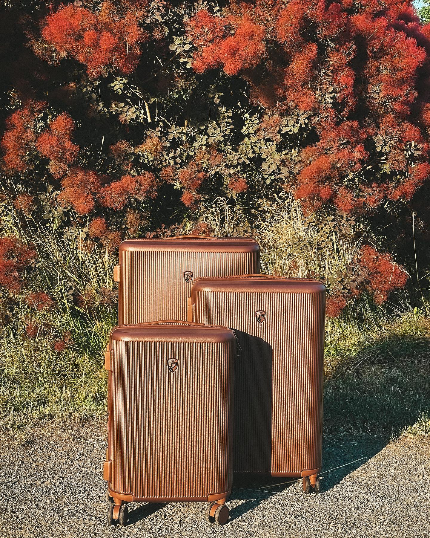 Vali giá 4 triệu phố biến