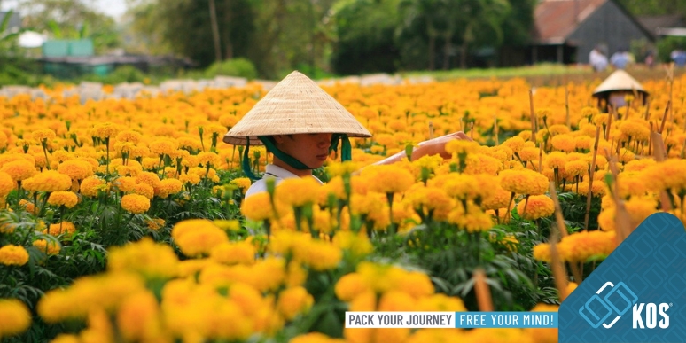 Cẩm nang du lịch ngày Tết hữu ích mà bạn cần phải biết!