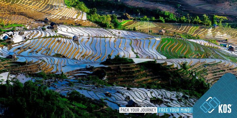 Tháng 3 đi du lịch ở đâu trong nước? Gợi ý ngay đây!