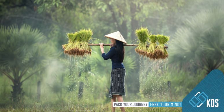 Tháng 11 nên đi du lịch ở đâu?