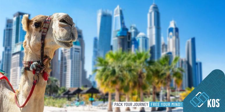 Kinh nghiệm du lịch Dubai tự túc