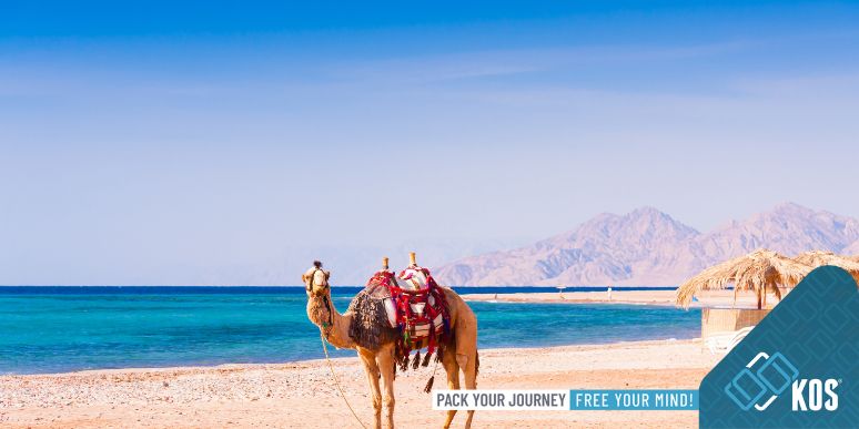 Đi du lịch Ai Cập mùa nào đẹp nhất để có chuyến đi đáng nhớ?