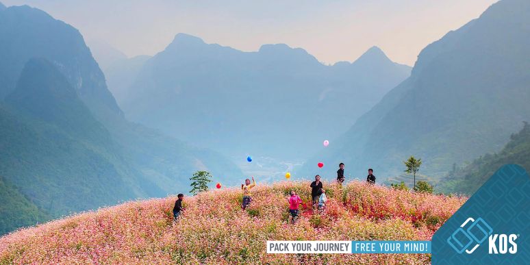 Kinh nghiệm đi du lịch Hà Giang bạn cần biết