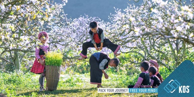 Kinh nghiệm đi du lịch Mộc Châu không thể bỏ lỡ