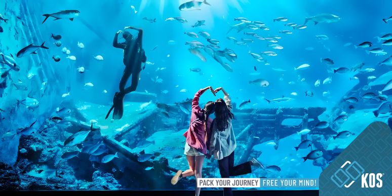 Địa điểm du lịch đầu năm 2025: Lên kế hoạch cho năm mới đầy thú vị