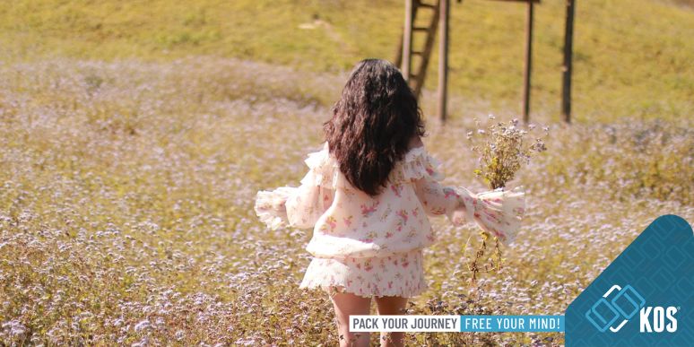 Đi du lịch Mộc Châu mùa nào đẹp? Khám phá vẻ đẹp bốn mùa trên cao nguyên thơ mộng