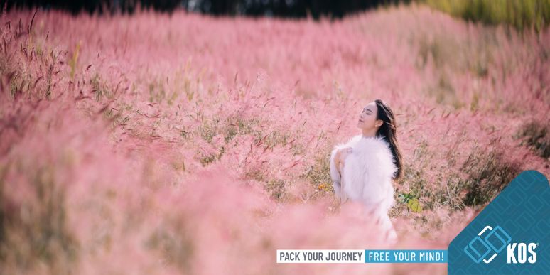 Tết Âm lịch nên đi du lịch ở đâu? Gợi ý những điểm đến hấp dẫn trong và ngoài nước