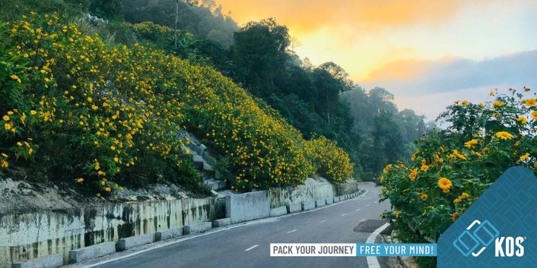 Xem qua kinh nghiệm đi phượt vườn quốc gia Ba Vì