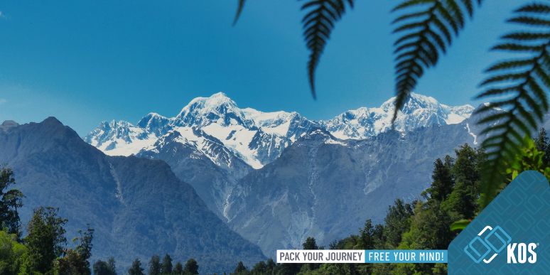 Kinh nghiệm đi du lịch New Zealand tự túc cho người lần đầu trải nghiệm