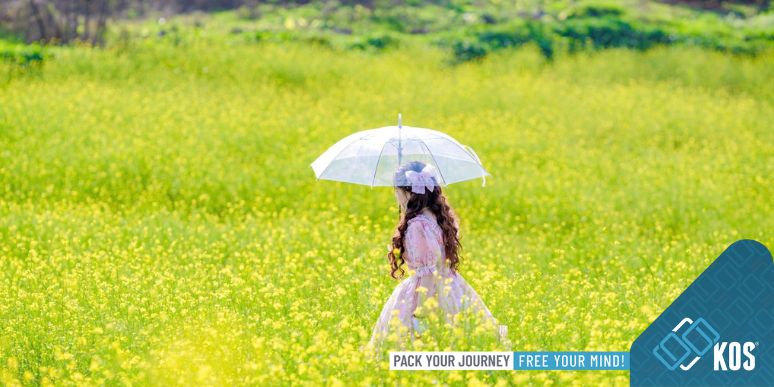 Các điểm du lịch ở huyện Mộc Châu không thể bỏ lỡ