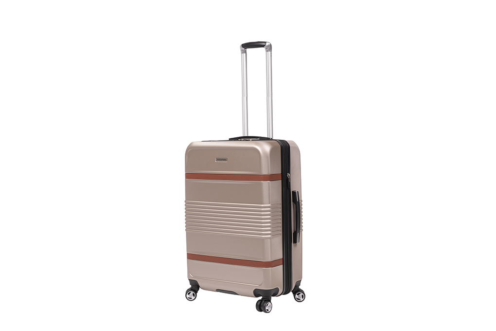 Vali Ricardo Monte Lite size S (20 inch) - Champagne hình sản phẩm 2