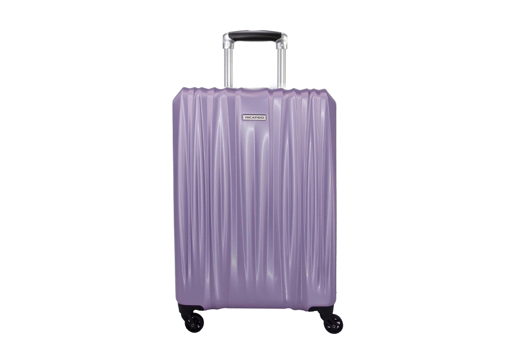 Vali Ricardo Wellington HS size S (20 inch) - Silver Lilac hình sản phẩm 1