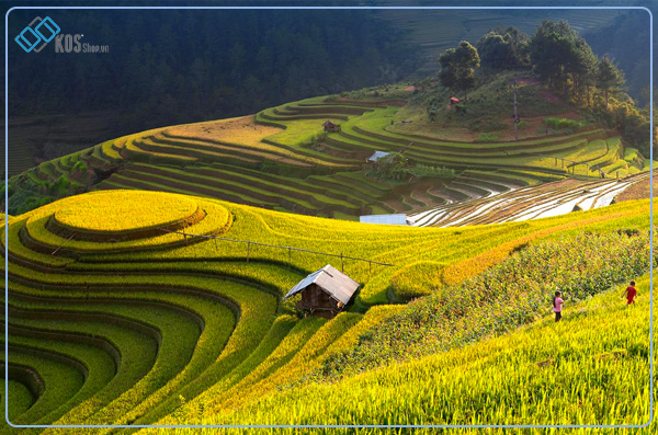 Đi Hà Giang cần chuẩn bị những gì không thể thiếu CHI TIẾT