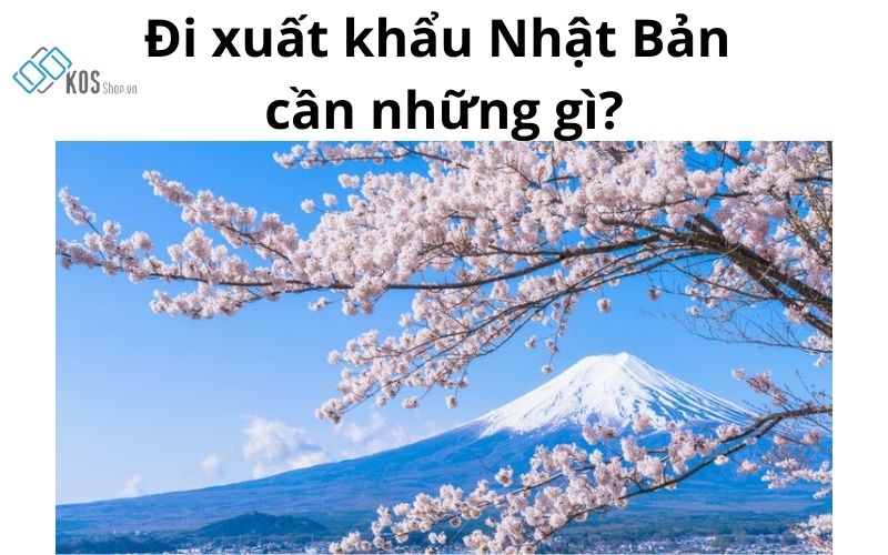 Đi xuất khẩu Nhật Bản cần những gì các ĐIỀU KIỆN cần nhớ