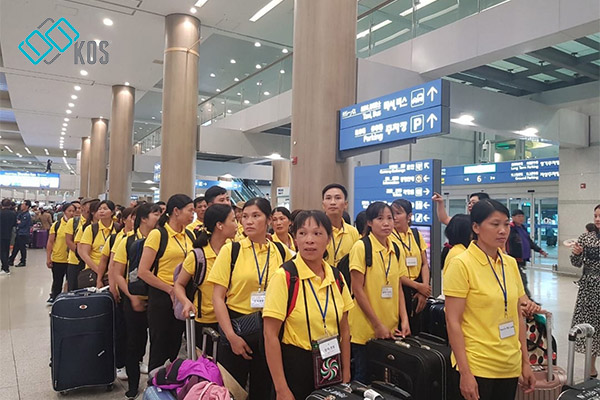 Thực trạng xuất khẩu lao động Hàn Quốc hiện nay Thực trạng xuất khẩu lao động Hàn Quốc hiện nay