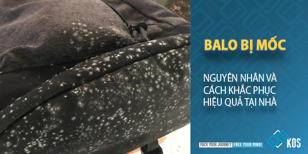 Nguyên nhân balo bị mốc và cách khắc phục HIỆU QUẢ tại nhà