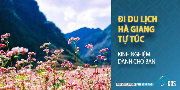 Tất tần tật kinh nghiệm đi du lịch Hà Giang tự túc cho bạn