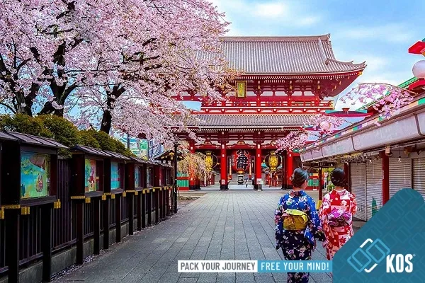 Thời điểm nào thích hợp để đi du lịch Nhật Bản?