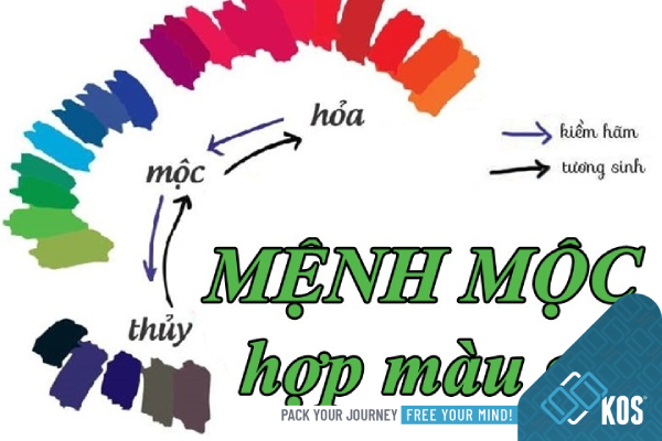 Màu sắc hợp với người mệnh Mộc Màu sắc hợp với người mệnh Mộc