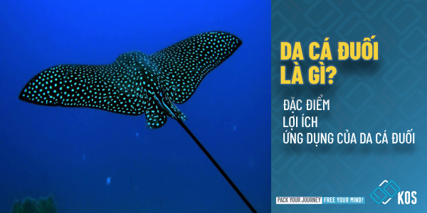 Da cá đuối là gì cách phân biệt thật giả ĐƠN GIẢN HIỆU QUẢ